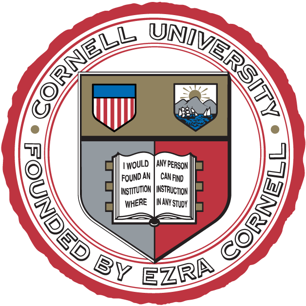 Cornell Big Red 1865-Pres Alternate Logo t shirts iron on transfers